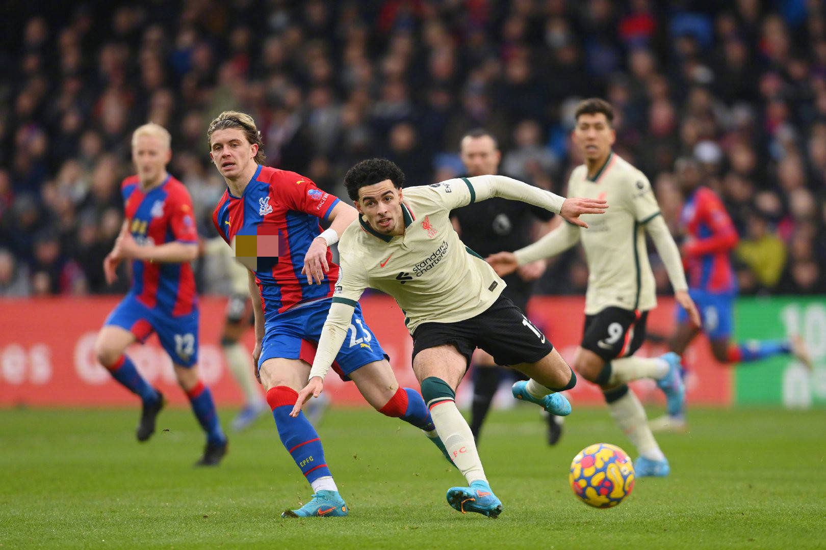 王楚钦的背 王楚钦的背