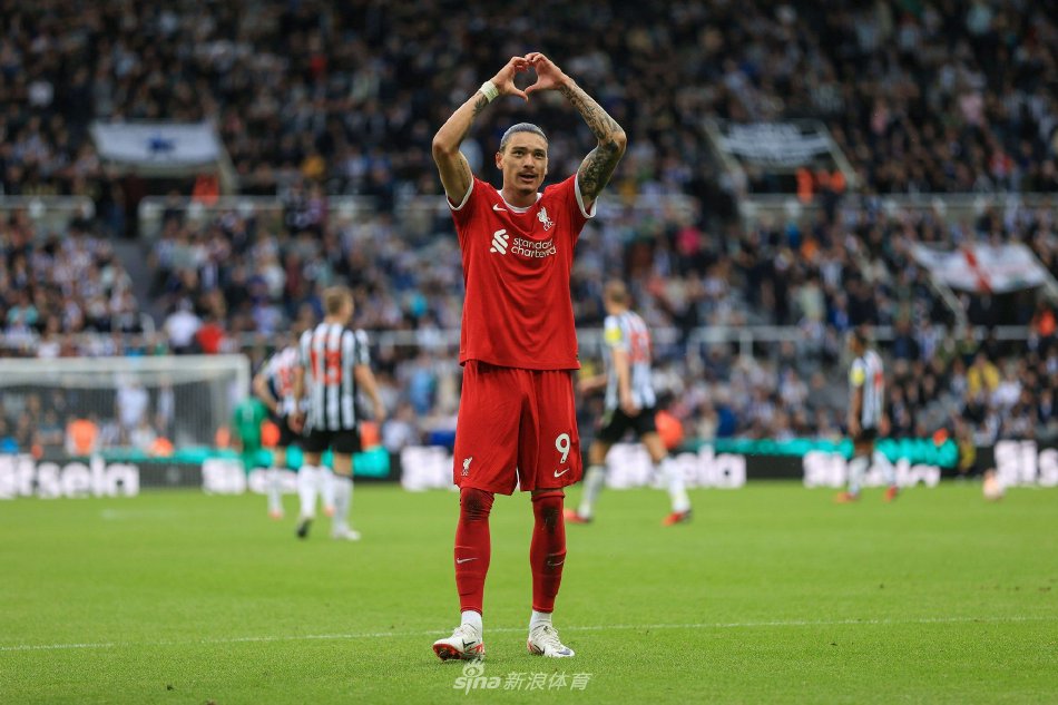 担当的角色 担当的角色